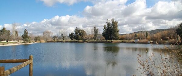 10 sitios donde pescar en Madrid